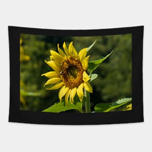 Sunny Day Sunflower Tapestry