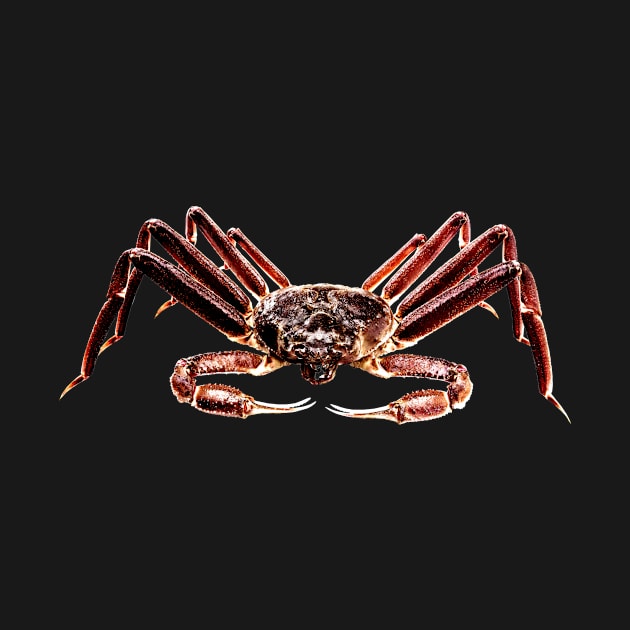 Crab by wwwmarty