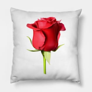 I use rose for everything Pillow