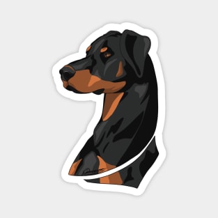 Doberman Portrait Magnet