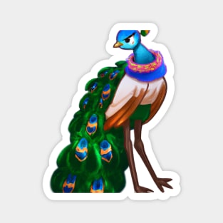 Cute Peacock Drawing Magnet