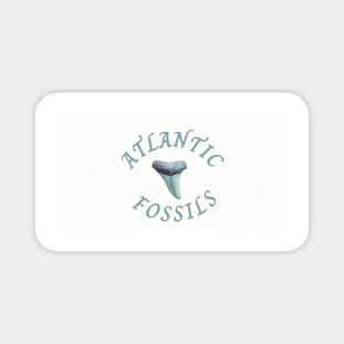 Nautical Light Blue Atlantic Fossils Shark Tooth White Print Magnet