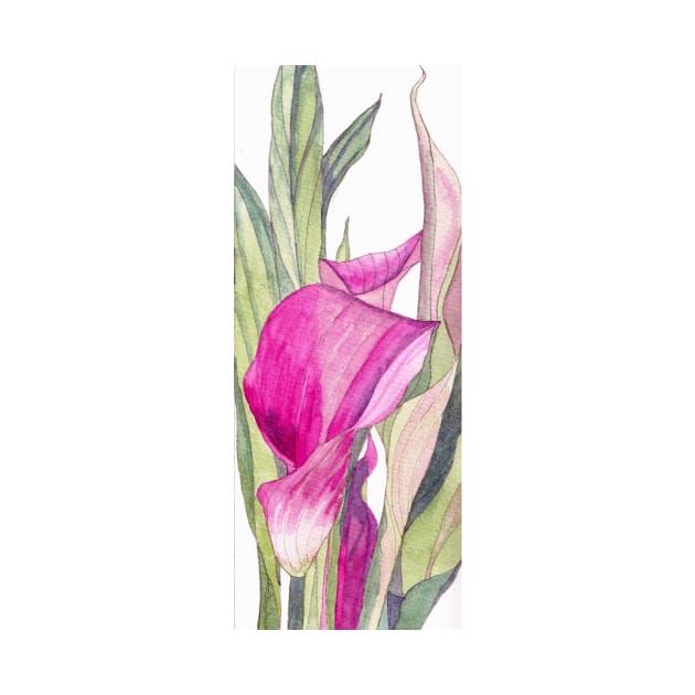 Pink Calla Lily watercolour painting by esvb