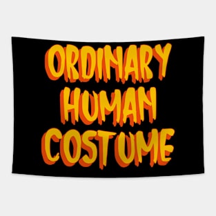 Ordinary Halloween Costume Tapestry