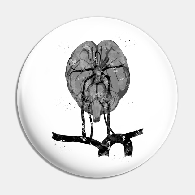 Brain and brainstem Pin by erzebeth