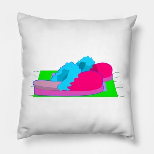 Colorful Slippers Pillow