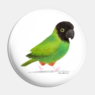 Nanday Parakeet Pin