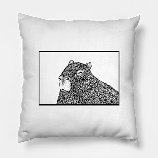 A capybara Pillow