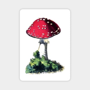 Vintage Red Mushroom Magnet