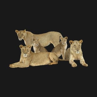 Lion Family - Lion - Lioness - Africa T-Shirt