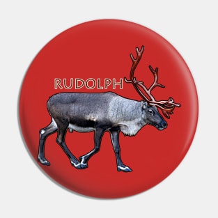 Santa Claus Reindeer Pin