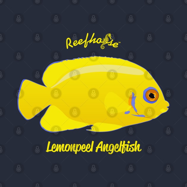 Lemonpeel Angelfish by Reefhorse