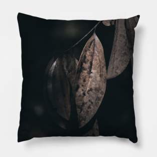 dried leaf low key Pillow