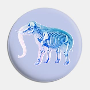 Elephant X-Ray Skeleton Pin