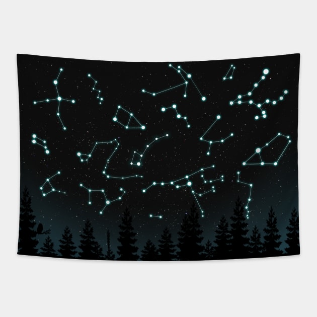 Constellations Tapestry by Lumos19Studio