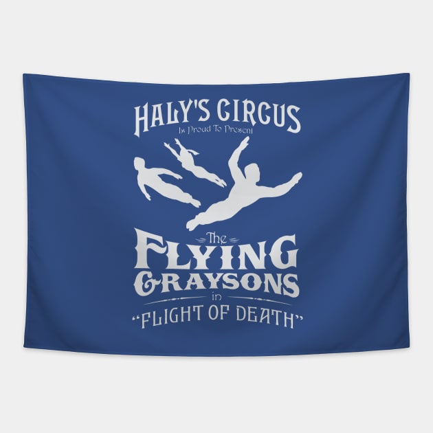 Flying Grayson Tapestry by AllHailWhale