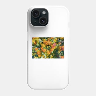 Aerial top down view of vibrant colorful autumn forest Phone Case