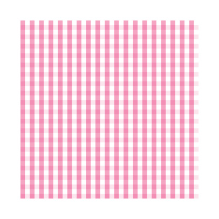 Southern Pink Gingham T-Shirt
