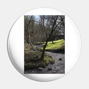 Babbling Brook Pin