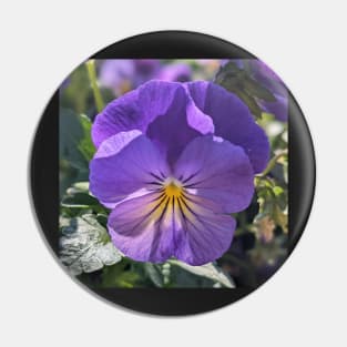 Purple and Yellow Striped Flower Pin