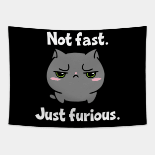 Not Fast Just Furious Cat Tapestry