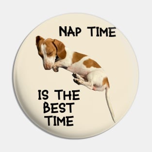 Nap Time Doggo Pin