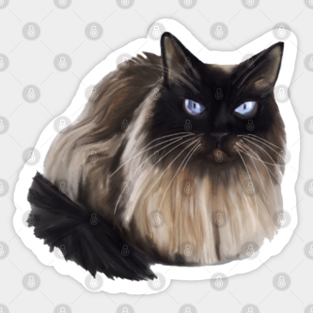 Cute Balinese Cat Realistic Digital Draw Cat Sticker