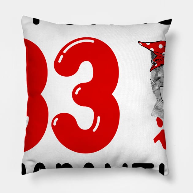 I Turned 33 In Quarantine Funny Cat Facemask Pillow by David Darry