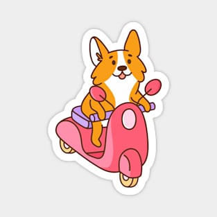 Corgi dog on scooter Magnet