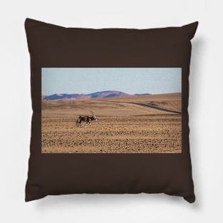 Gemsbok walking on the sandy plain. Pillow