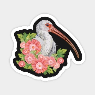 ibis Magnet