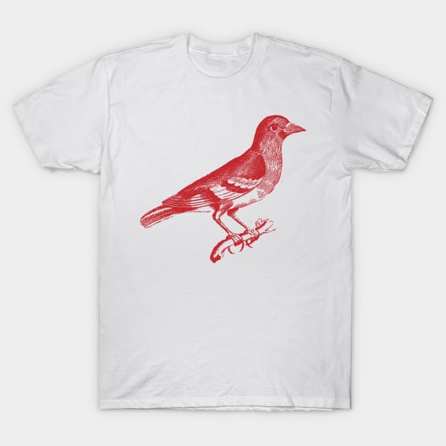 penandinkdesign@hotmail.com Red Bird Vintage Design T-Shirt