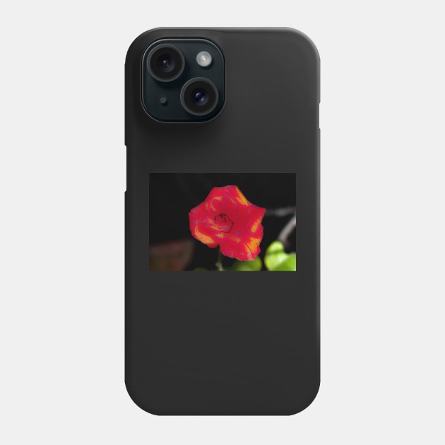 Red rose blossom with yellow parts Phone Case by kall3bu