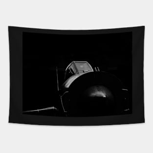 RAF Lightning jet aircraft - mono version Tapestry