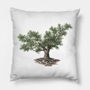 May birthday fig tree Pillow