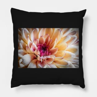 Chrysanthemum Close-up Pillow