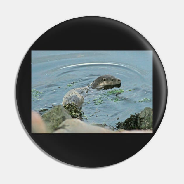 Otter Pin by orcadia