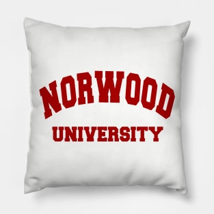 Norwood University Classic Look Tee Pillow