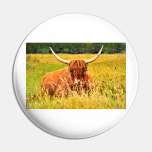 Highlander Cow in the tall grass Pin