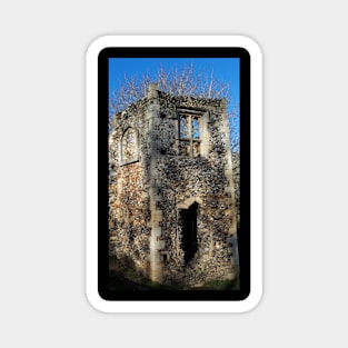 Dove Cote Magnet