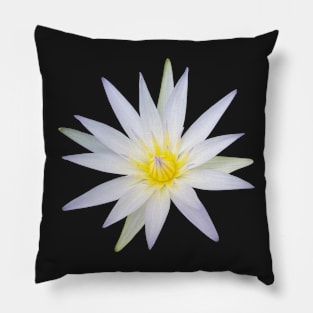 Egyptian Lotus Flower Pillow