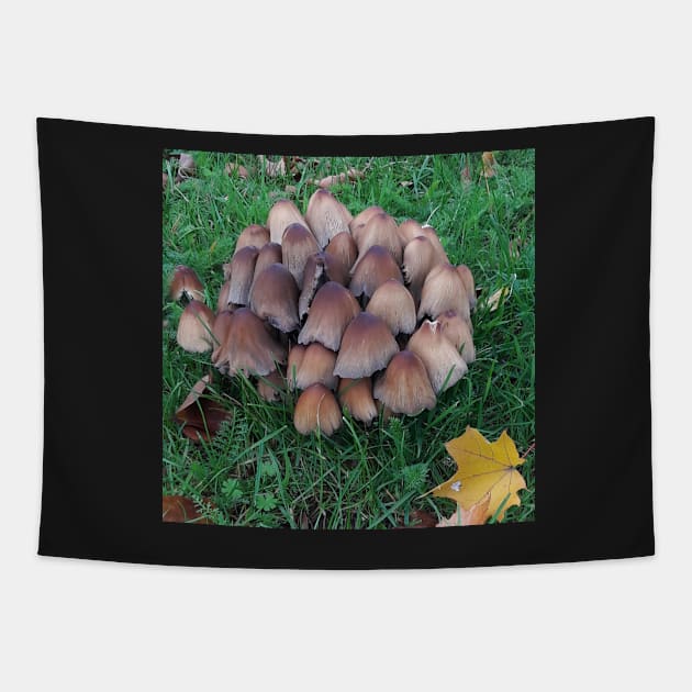 Inky-cap Mushrooms Tapestry by robelf