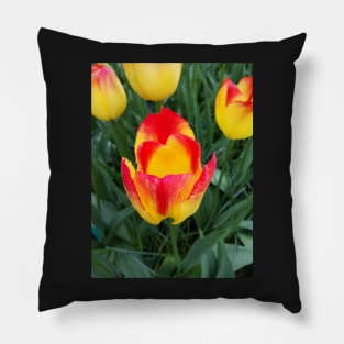 A flower's pride Pillow