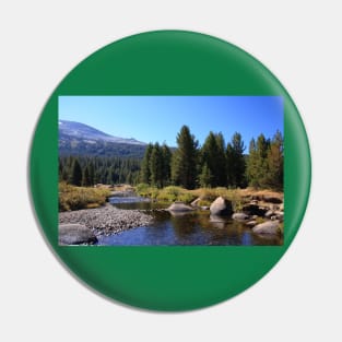 Yosemite Pin