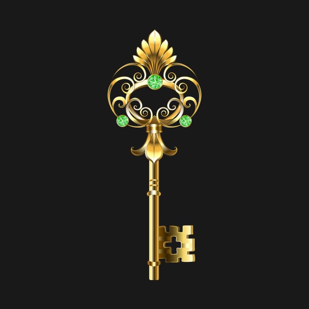 Gold Key by Blackmoon9