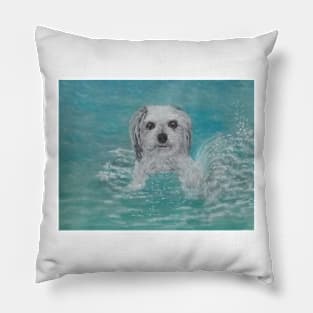 Dog walking on water Pillow