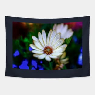 Raindrops On A Daisy Tapestry