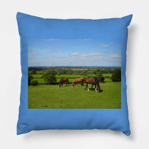 Horses grazing in the Cotswolds Pillow by stevepaint