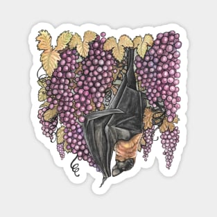Bat with Snacks Magnet
