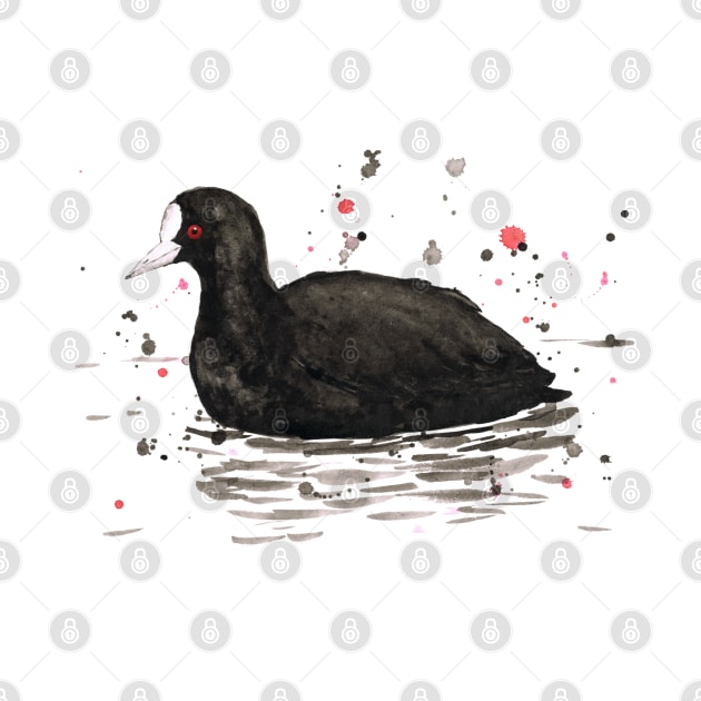 Common coot by Bwiselizzy